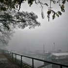 Frühnebel am Bootshafen