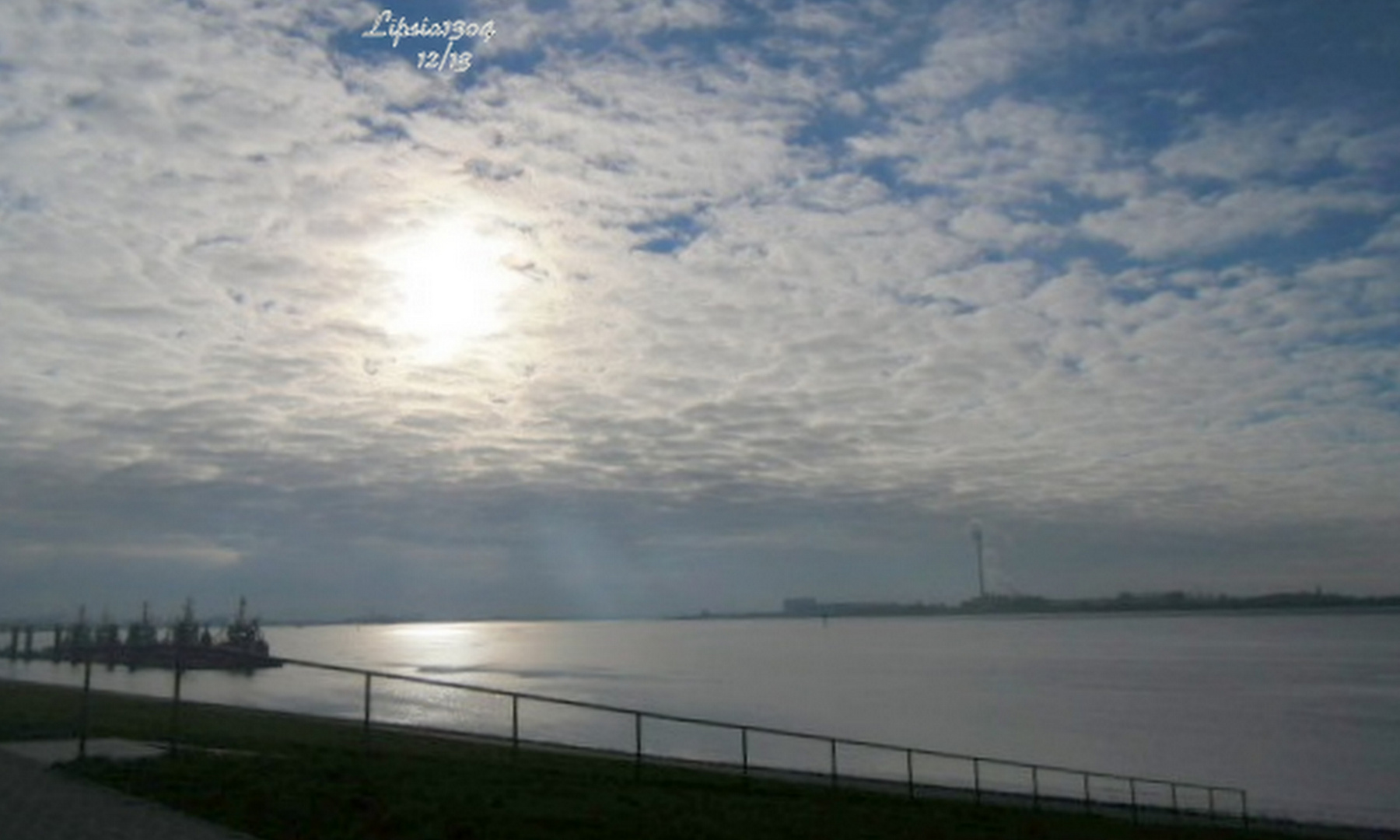 Frühnebel am Deich