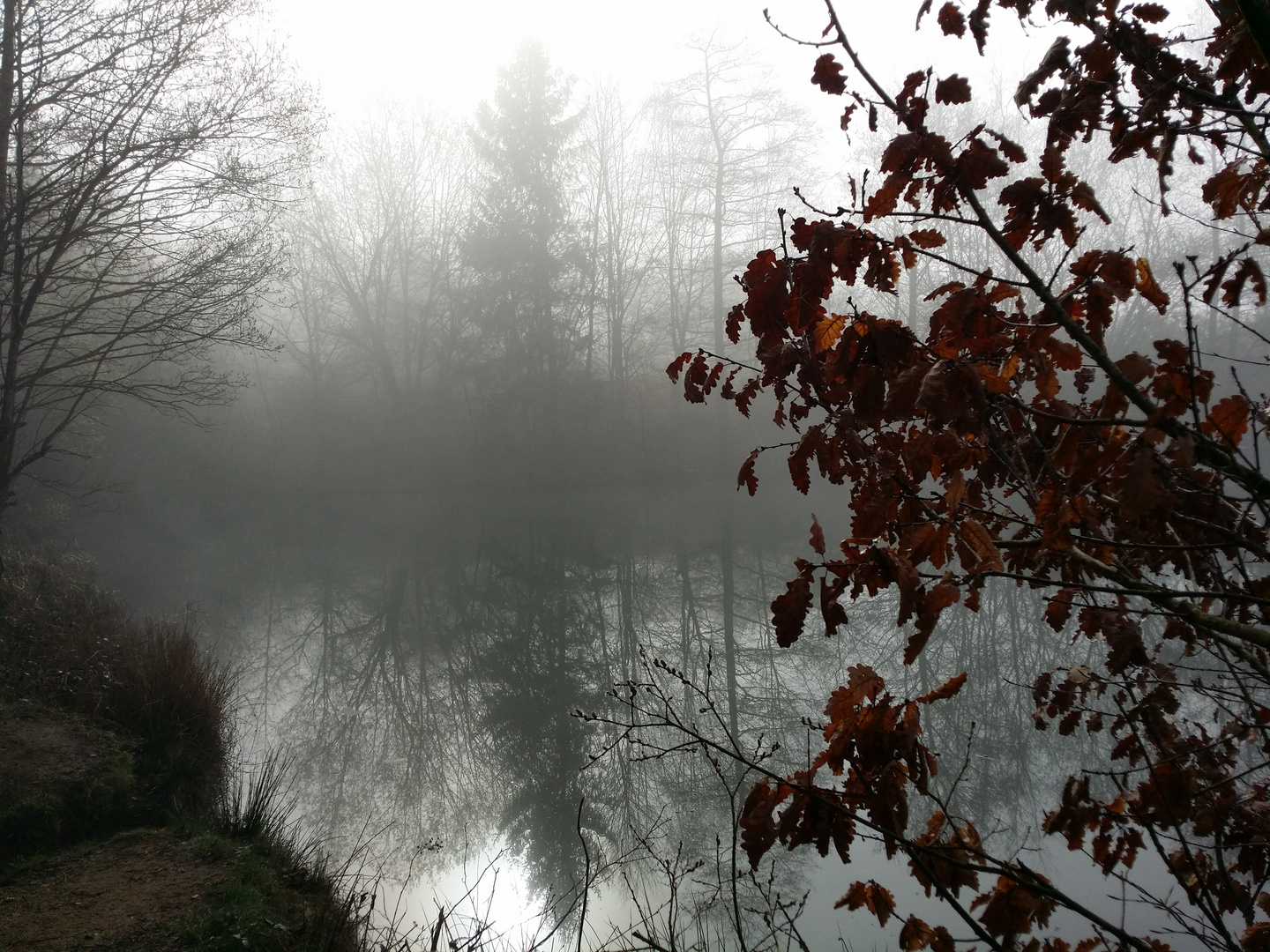 Frühnebel am Freilinger See 