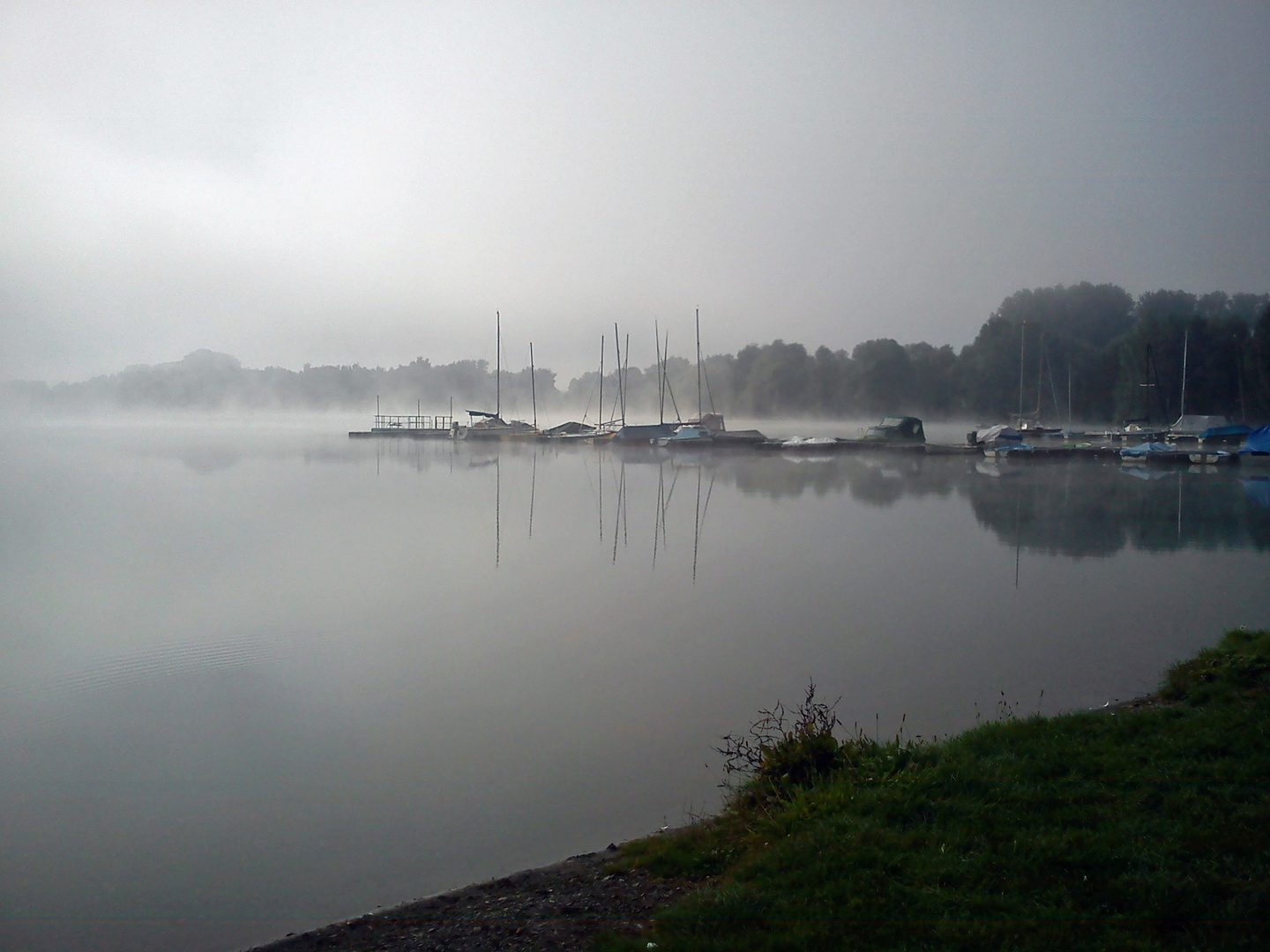 Frühnebel am Freizeitsee -1-