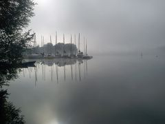 Frühnebel am Freizeitsee .