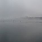 Frühnebel am Freizeitsee