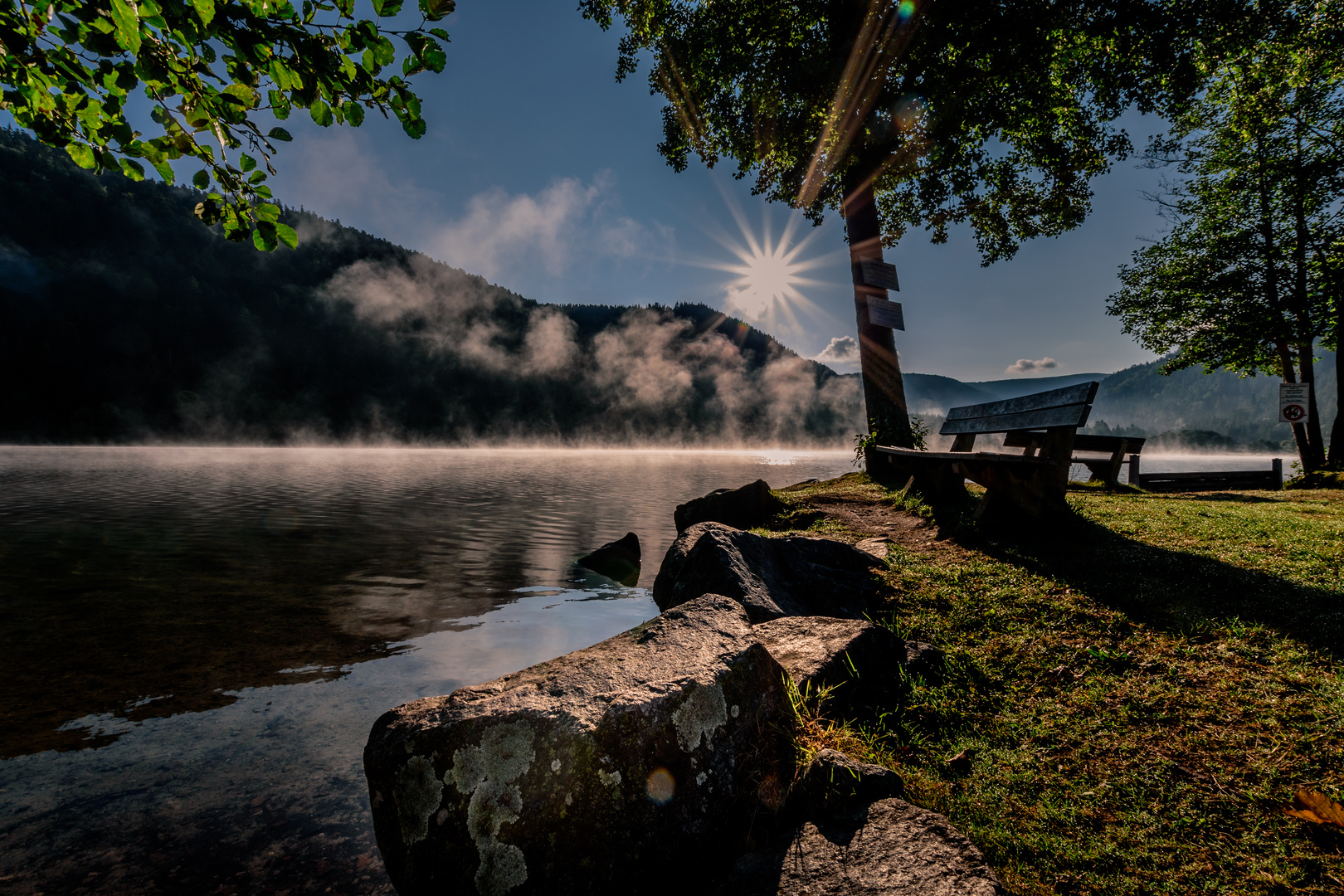 Frühnebel am Lac de Longemer