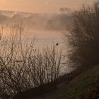 frühnebel am main