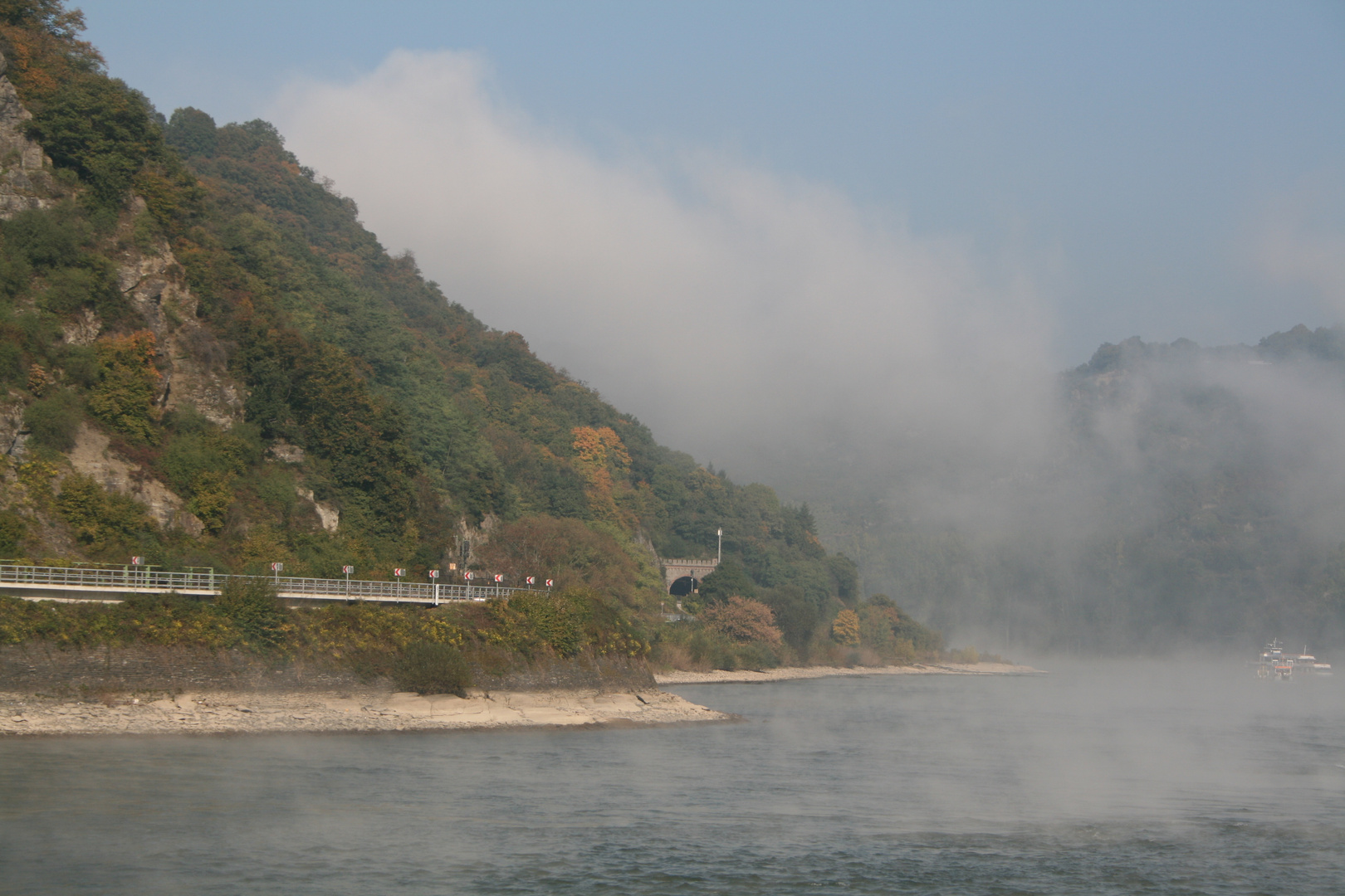 Frühnebel am Mittelrhein