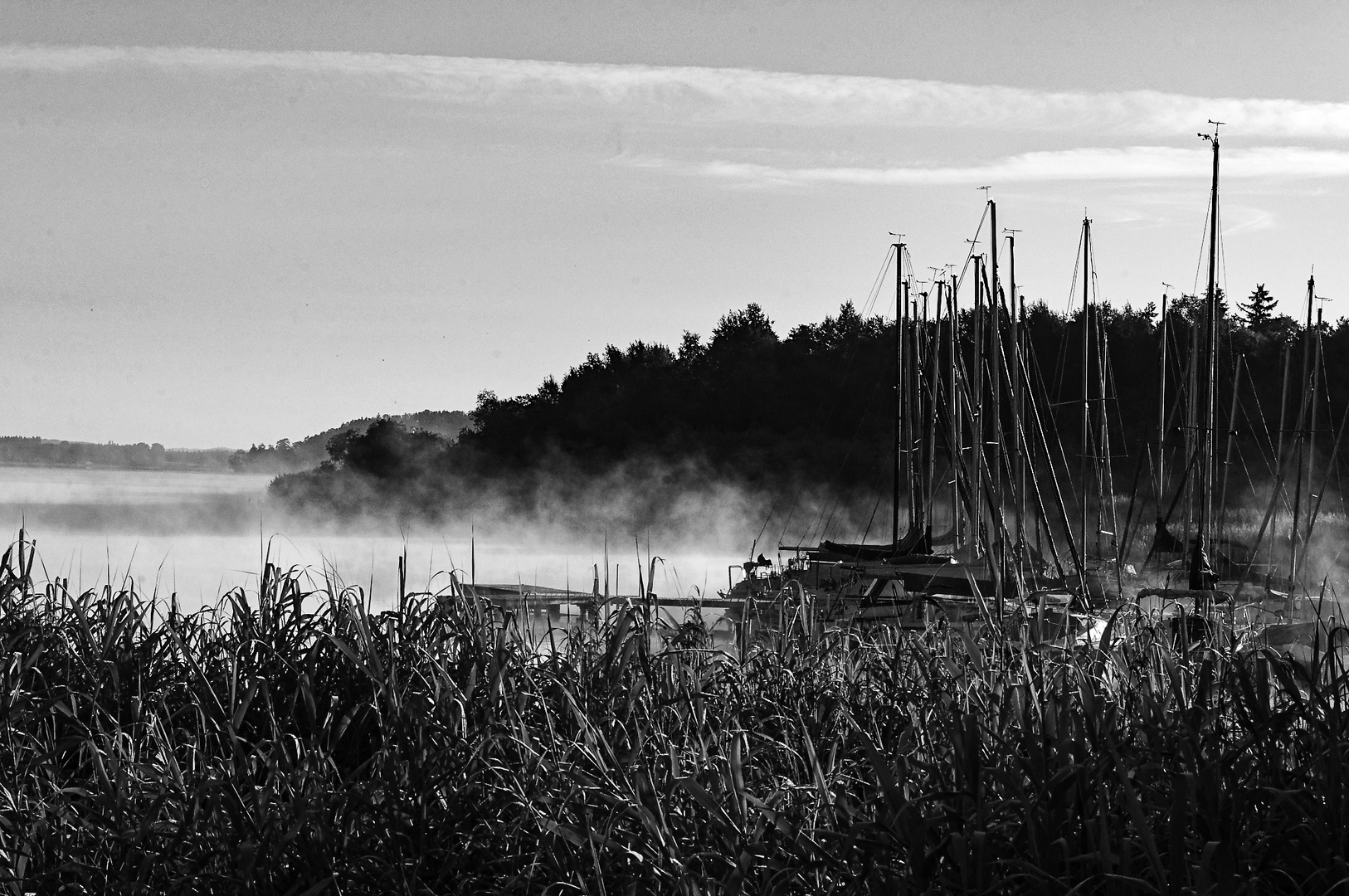 Frühnebel am Obertrumer See