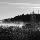 Frühnebel am Obertrumer See