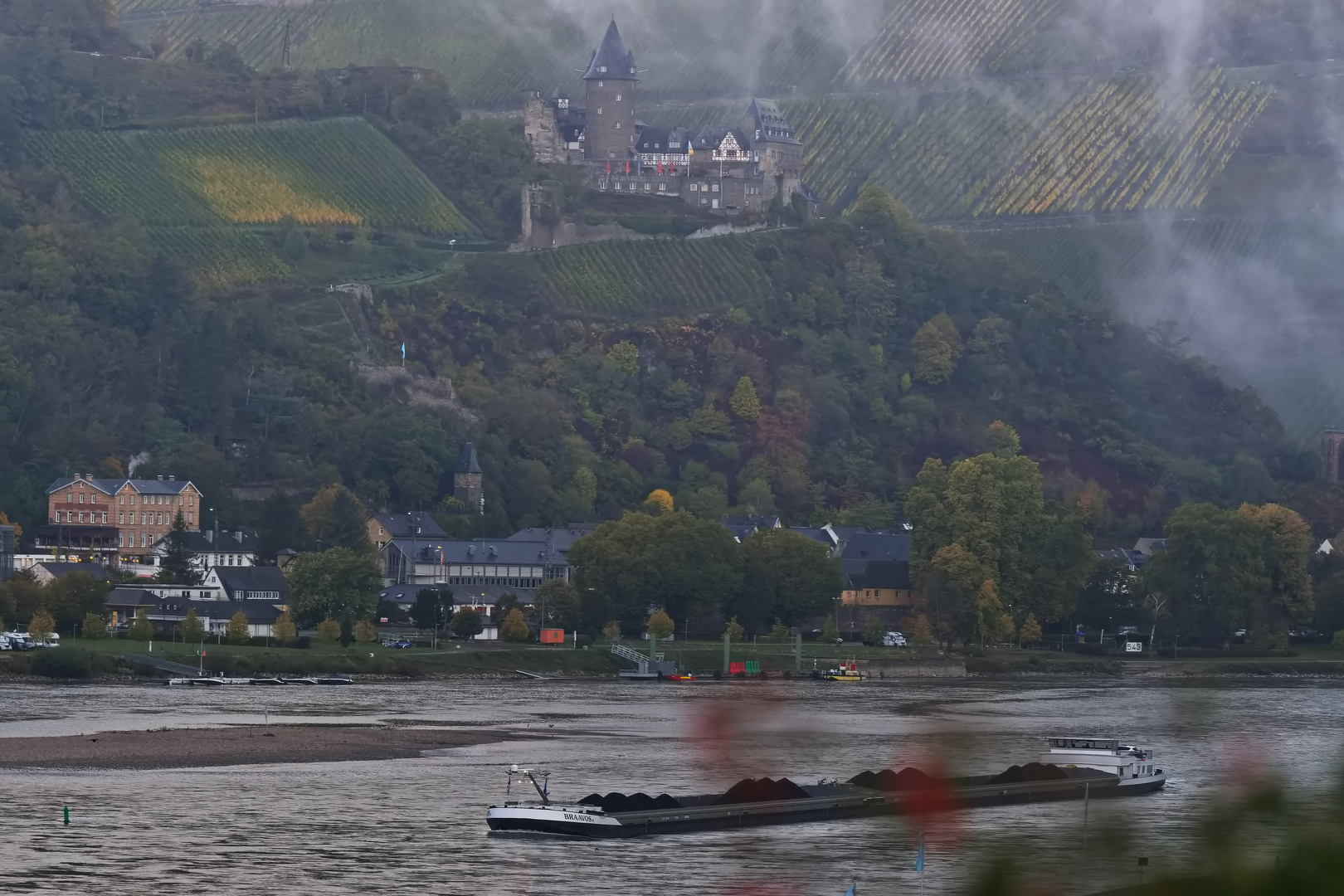Frühnebel am Rhein