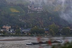 Frühnebel am Rhein