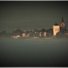 Frühnebel am Rhein (I)