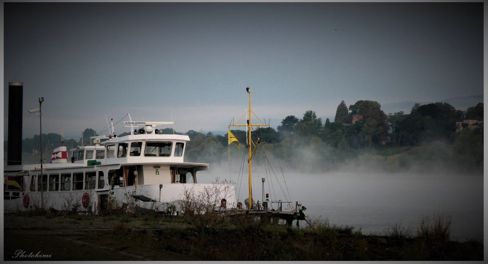 Frühnebel am Rhein (II)