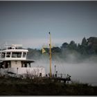 Frühnebel am Rhein (II)