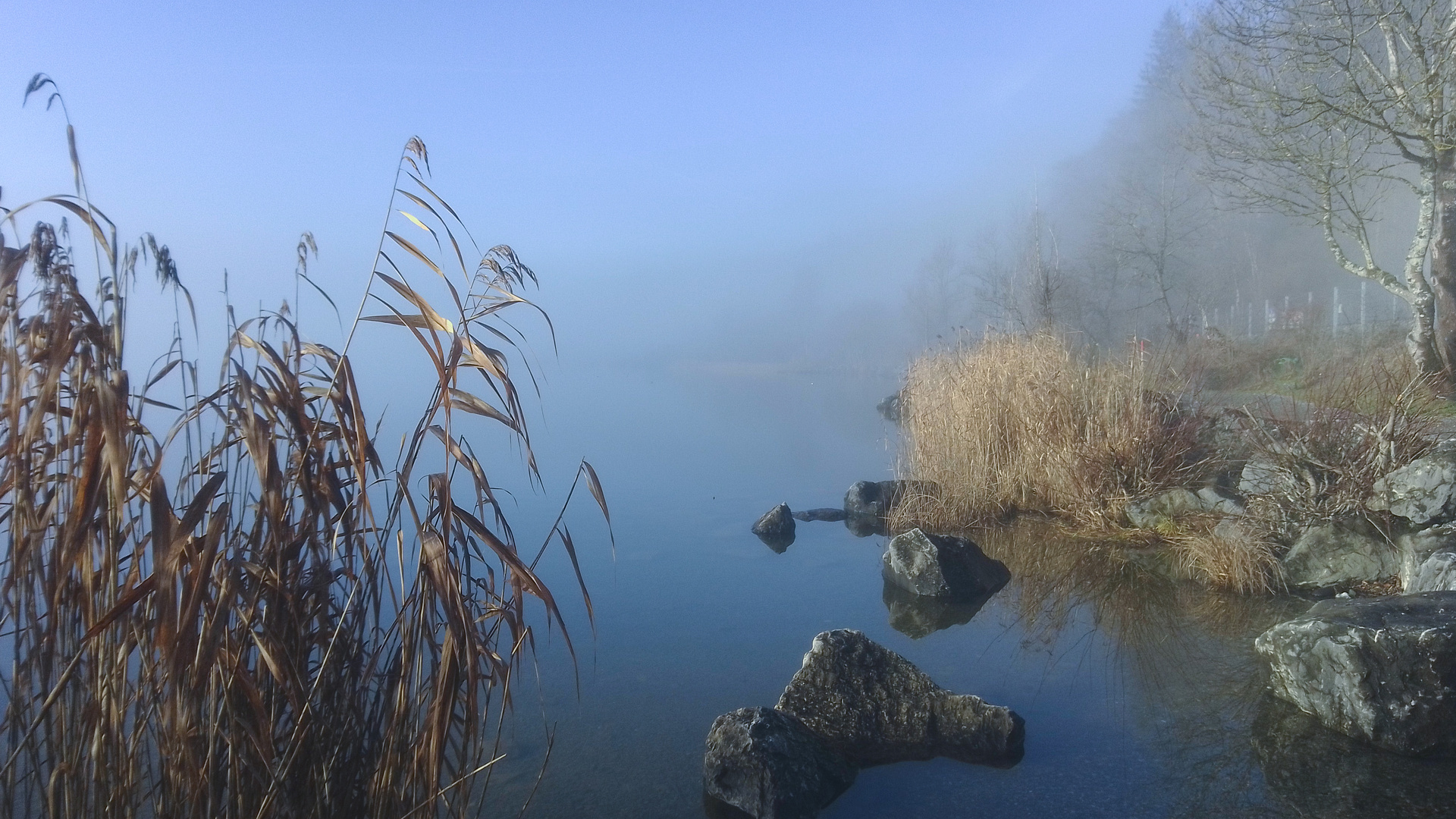 Frühnebel am See