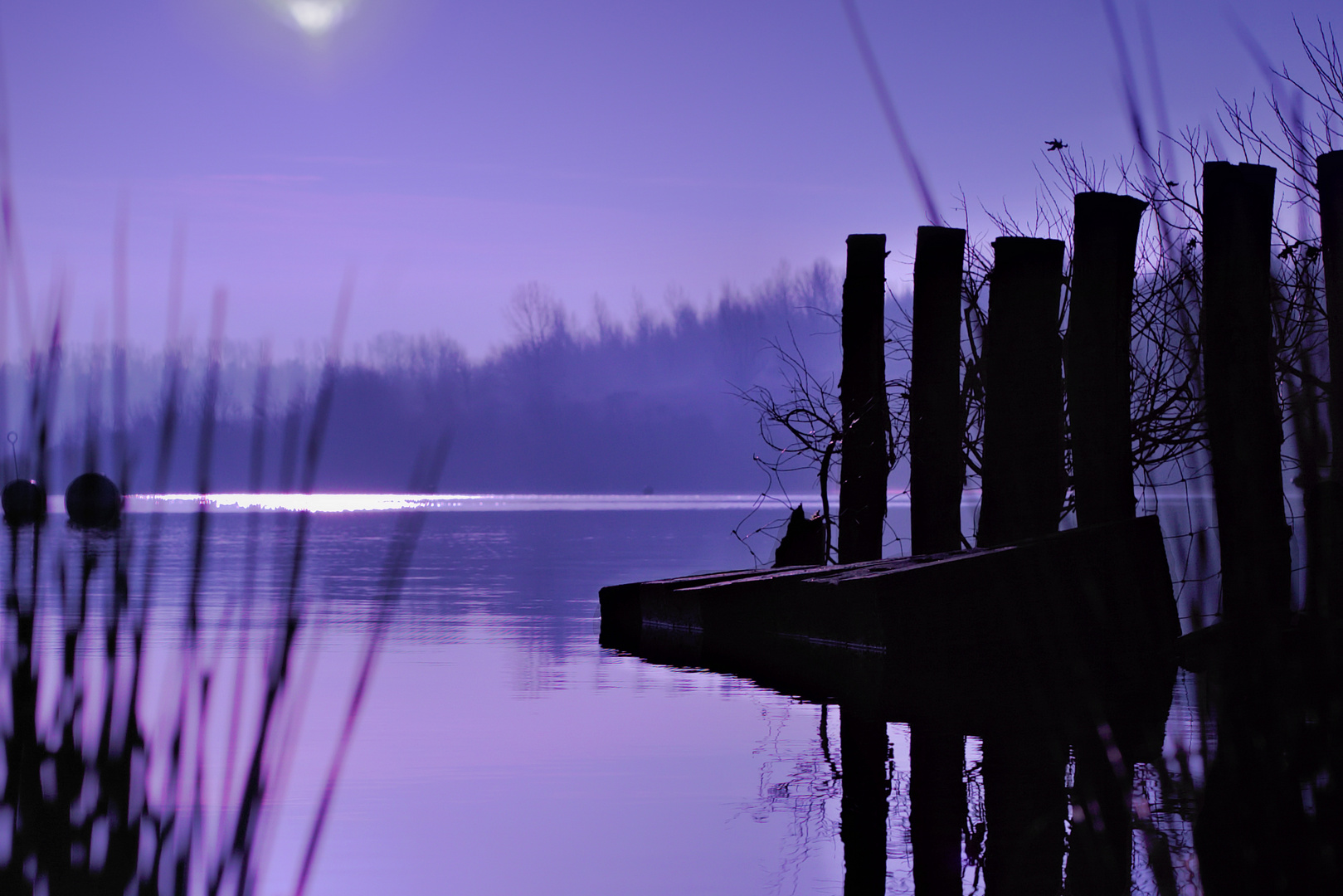 Frühnebel am See