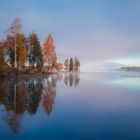 Frühnebel am See