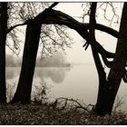 Frühnebel am See