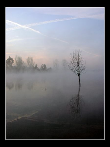 Frühnebel am See