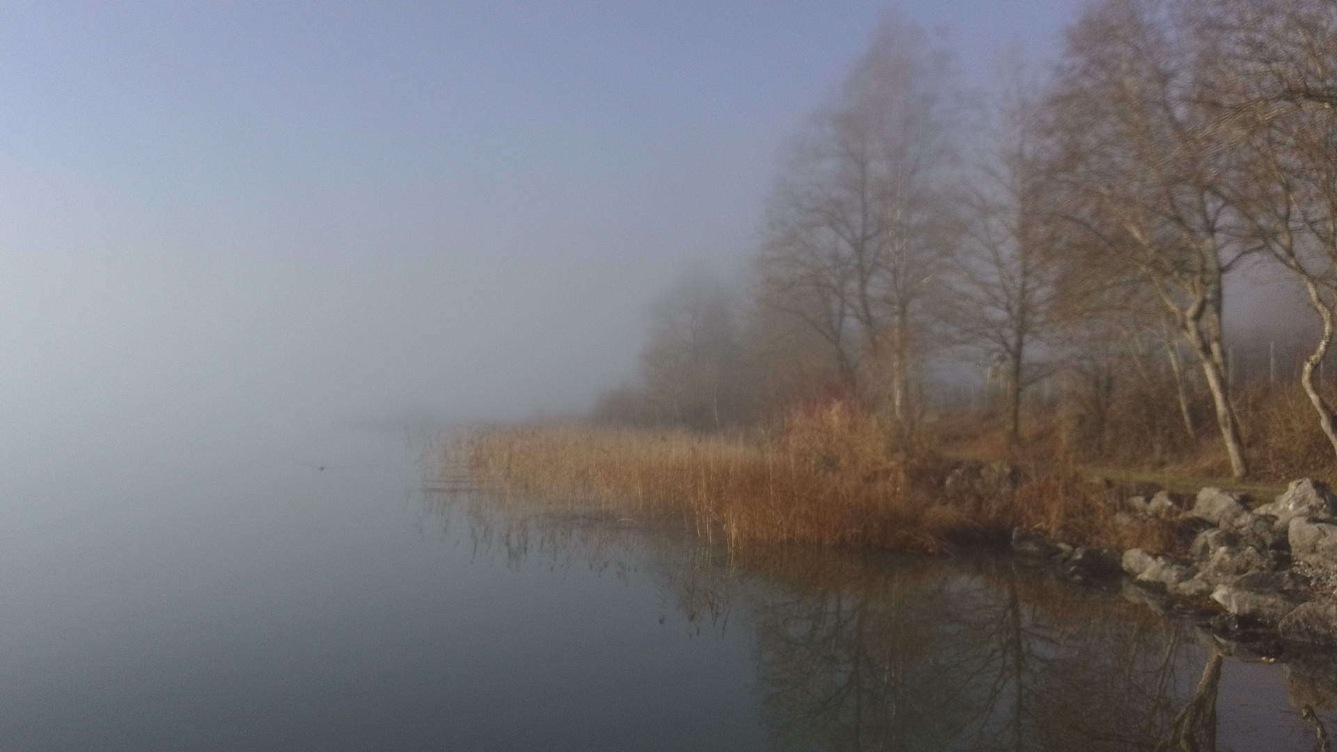 Frühnebel am See