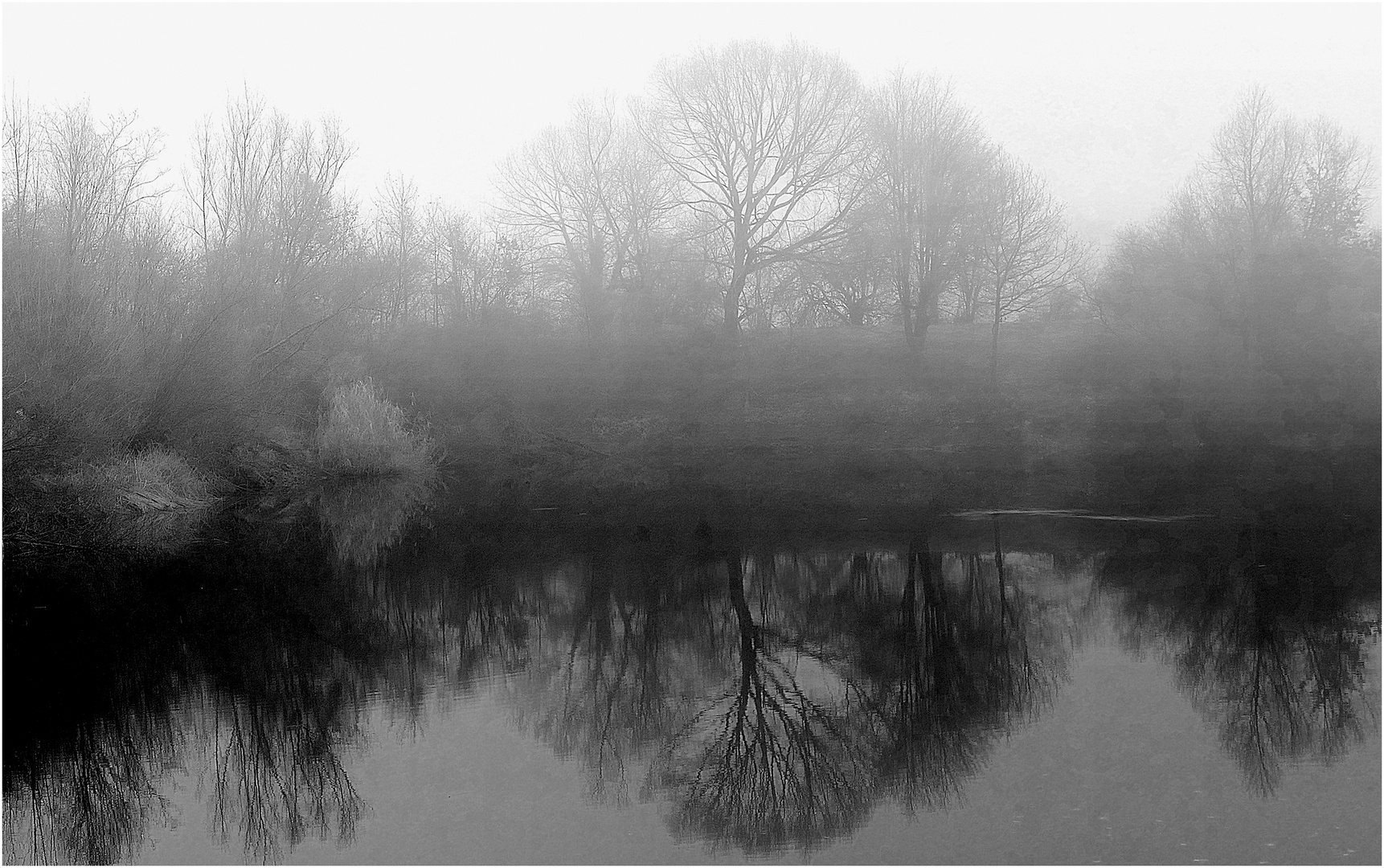 Frühnebel am Teich