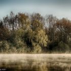 Frühnebel am Vechtesee