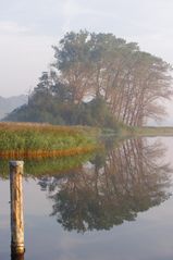 Frühnebel am Wasser