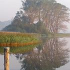 Frühnebel am Wasser