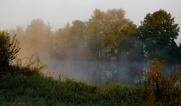 Frühnebel am Weiher