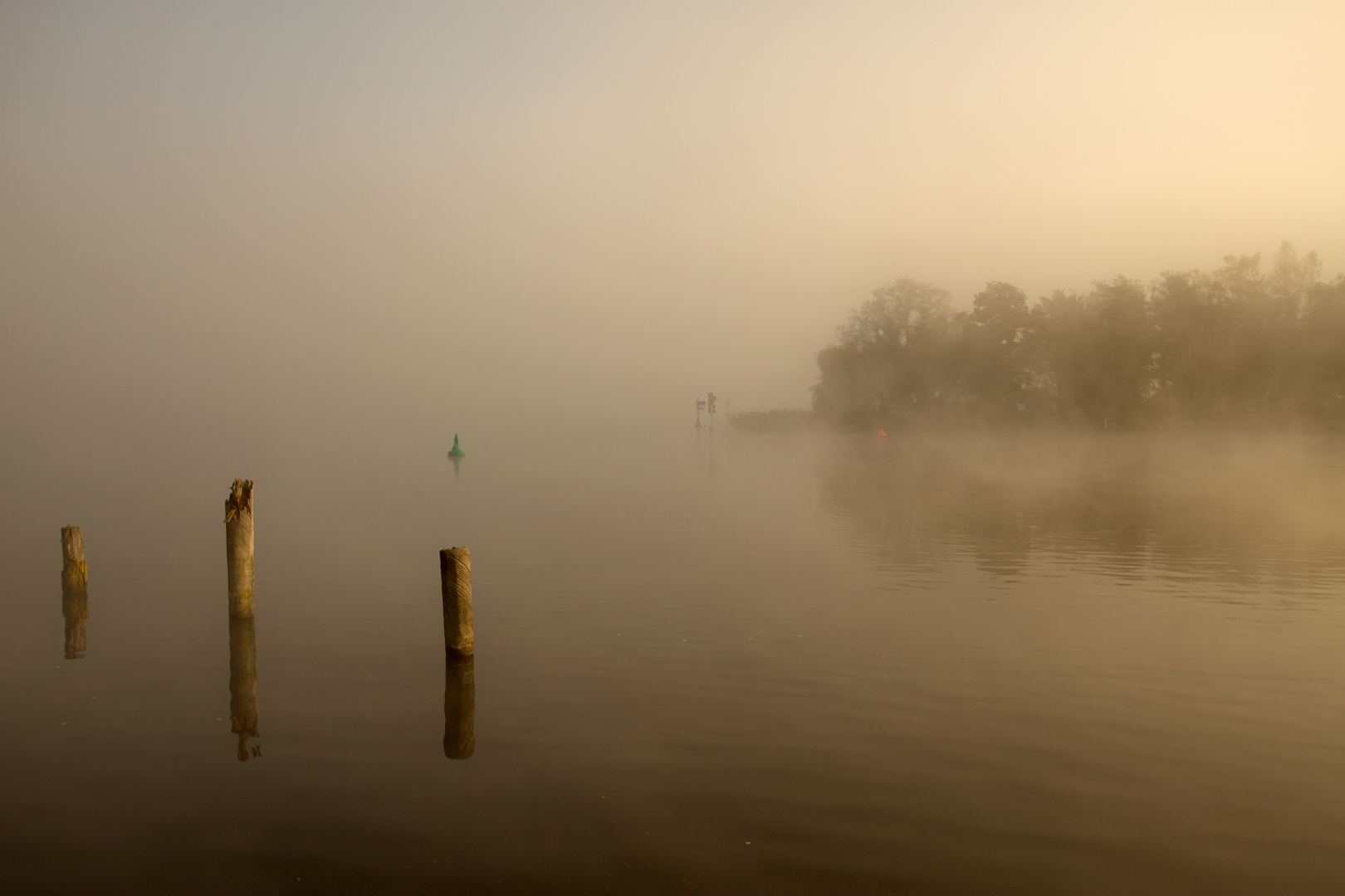 Frühnebel am Zeuthener See