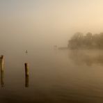 Frühnebel am Zeuthener See