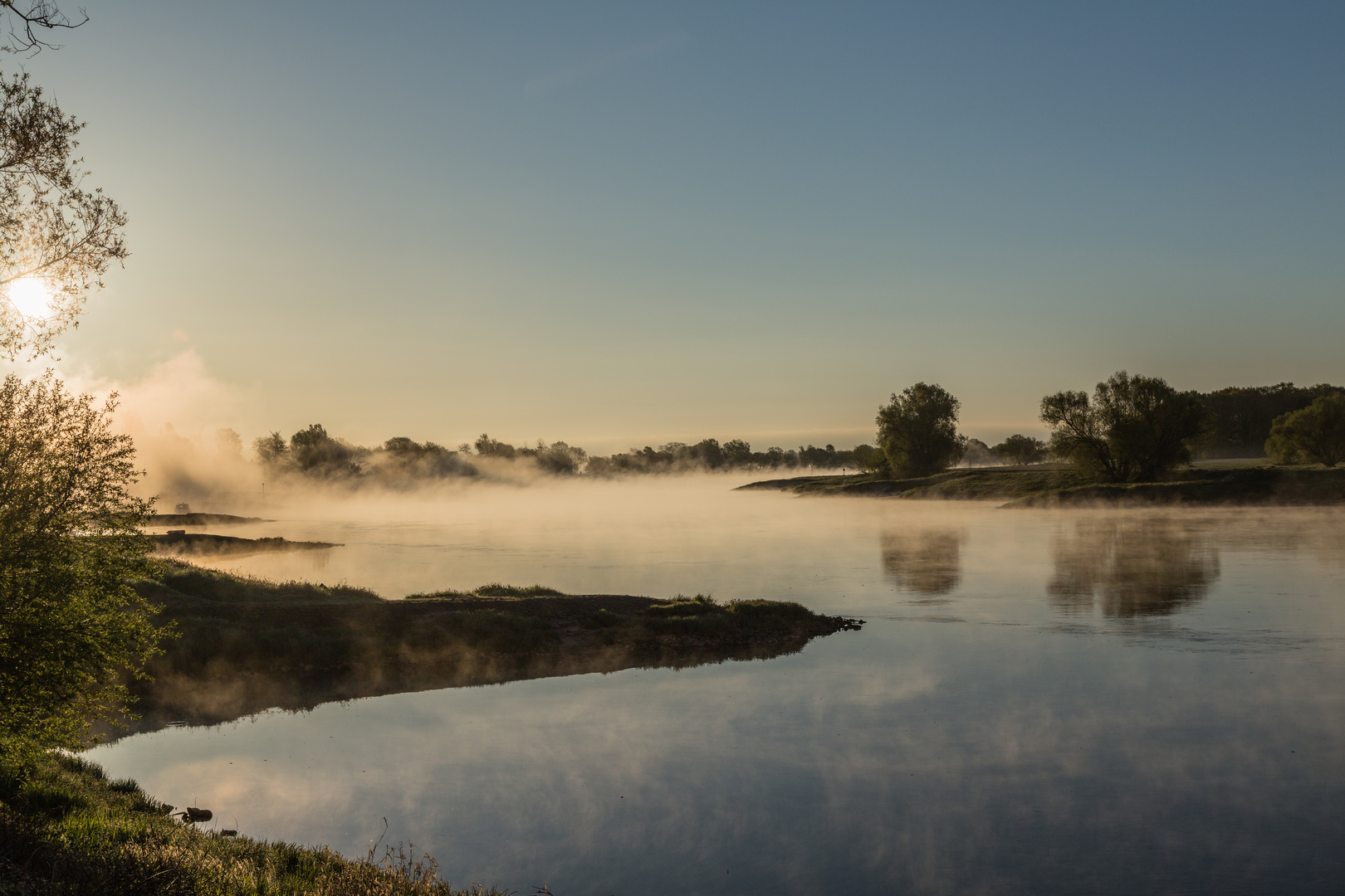 Frühnebel an der Elbe 2