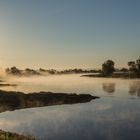 Frühnebel an der Elbe 2