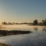 Frühnebel an der Elbe 2