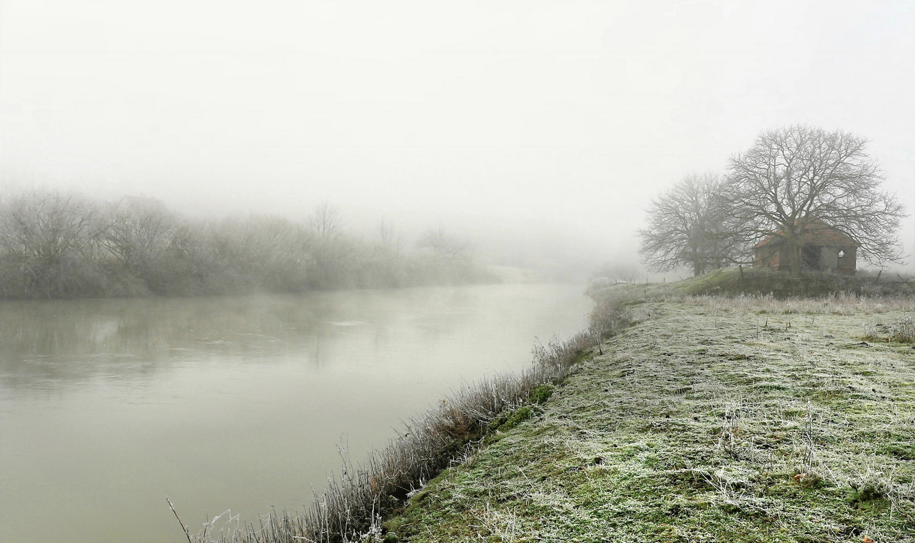 Frühnebel an der Lippe