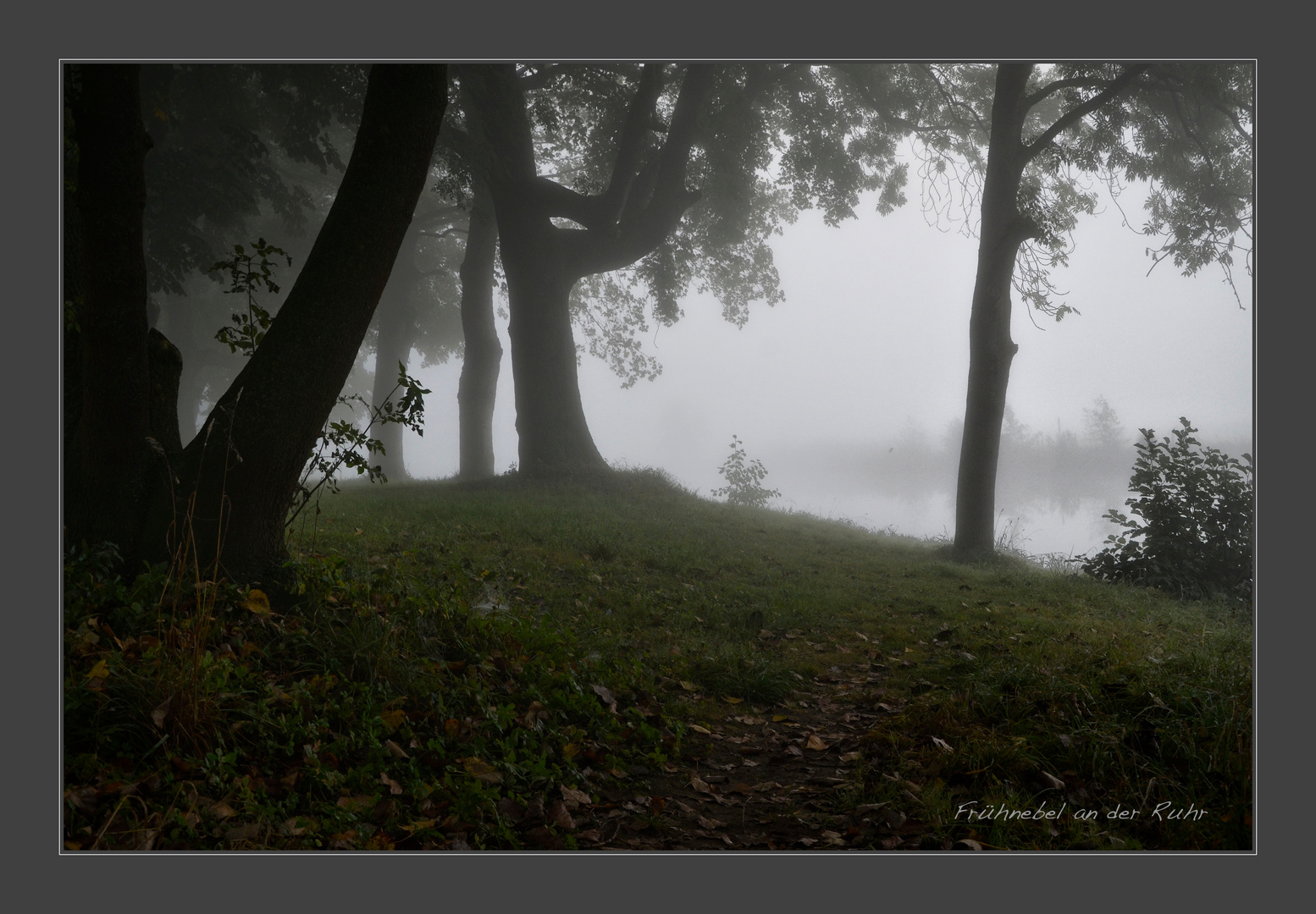 Frühnebel an der Ruhr