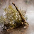 Frühnebel an der Ruhr