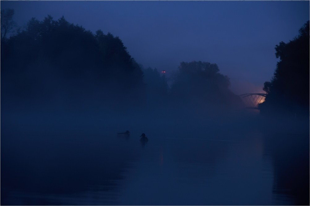 Frühnebel an der Spandauer Havel