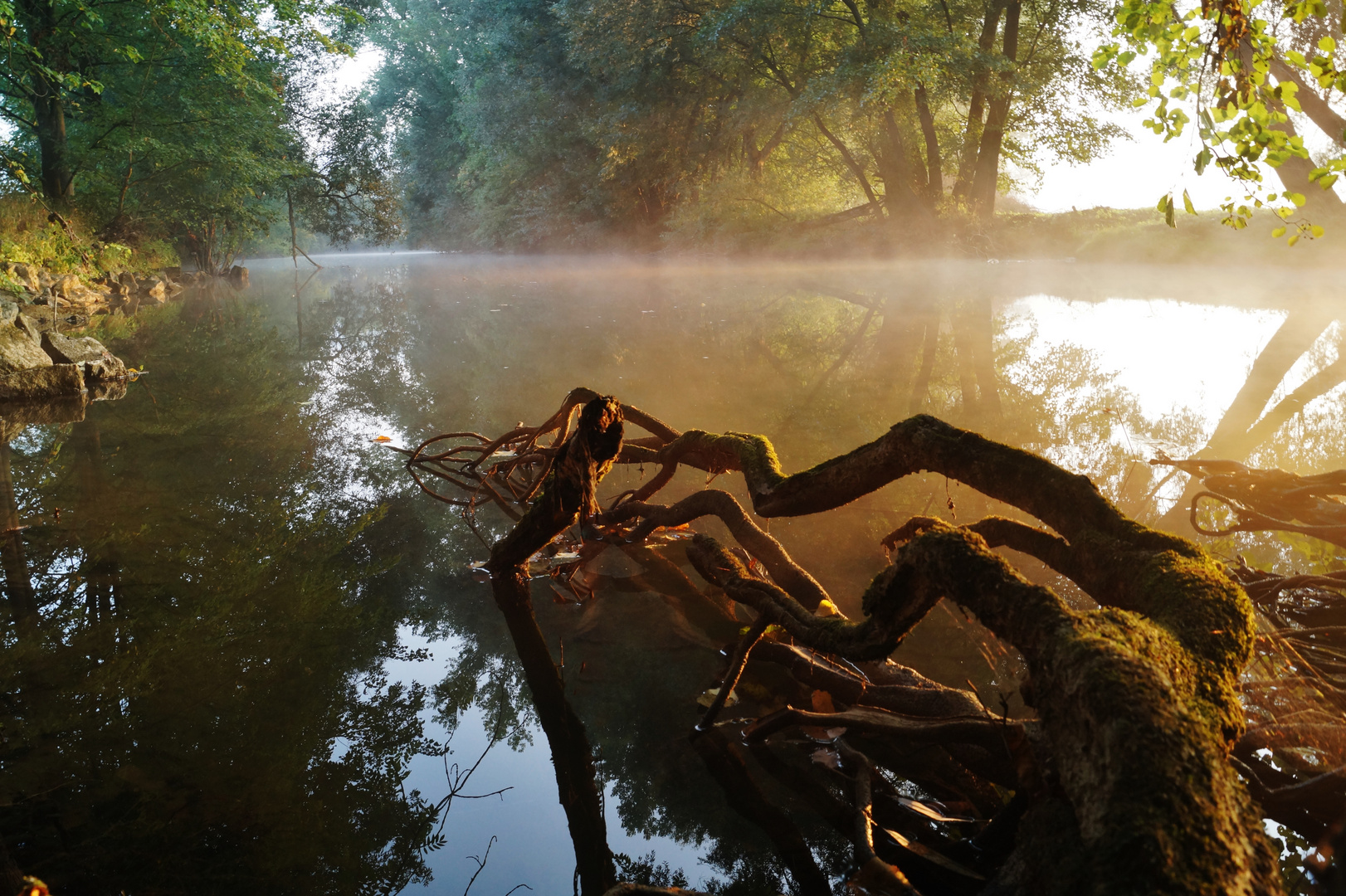 Frühnebel an der Tauber.