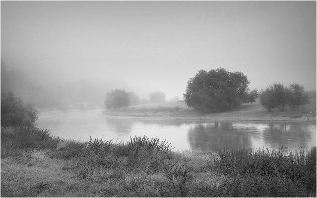 Frühnebel an der Weser (1)