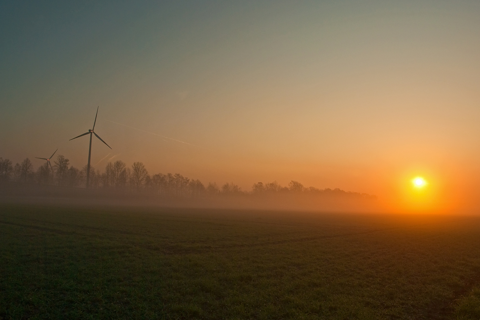 Frühnebel auf dem Acker