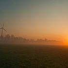 Frühnebel auf dem Acker