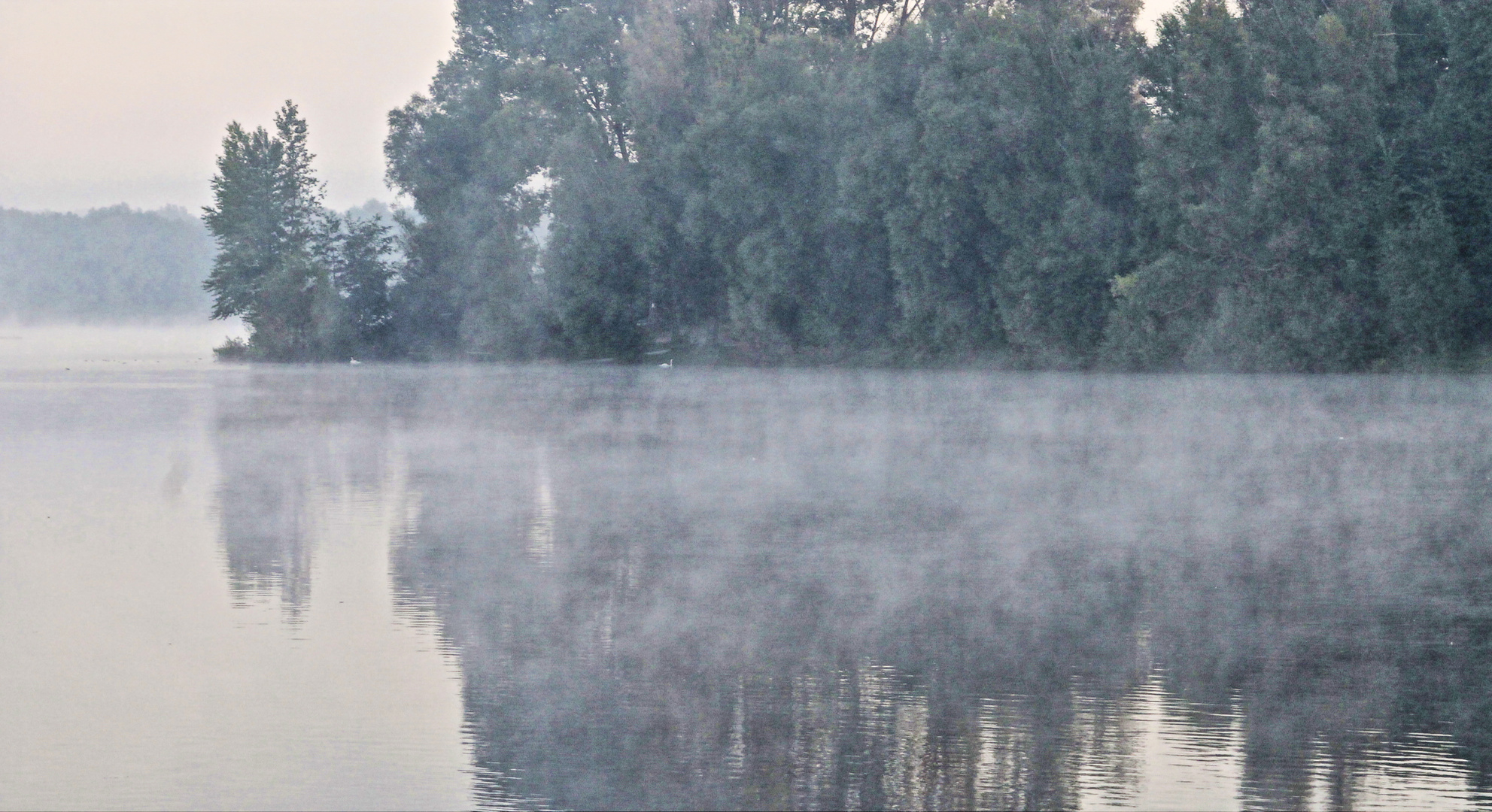 Frühnebel auf dem Auesee in Wesel