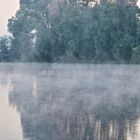 Frühnebel auf dem Auesee in Wesel