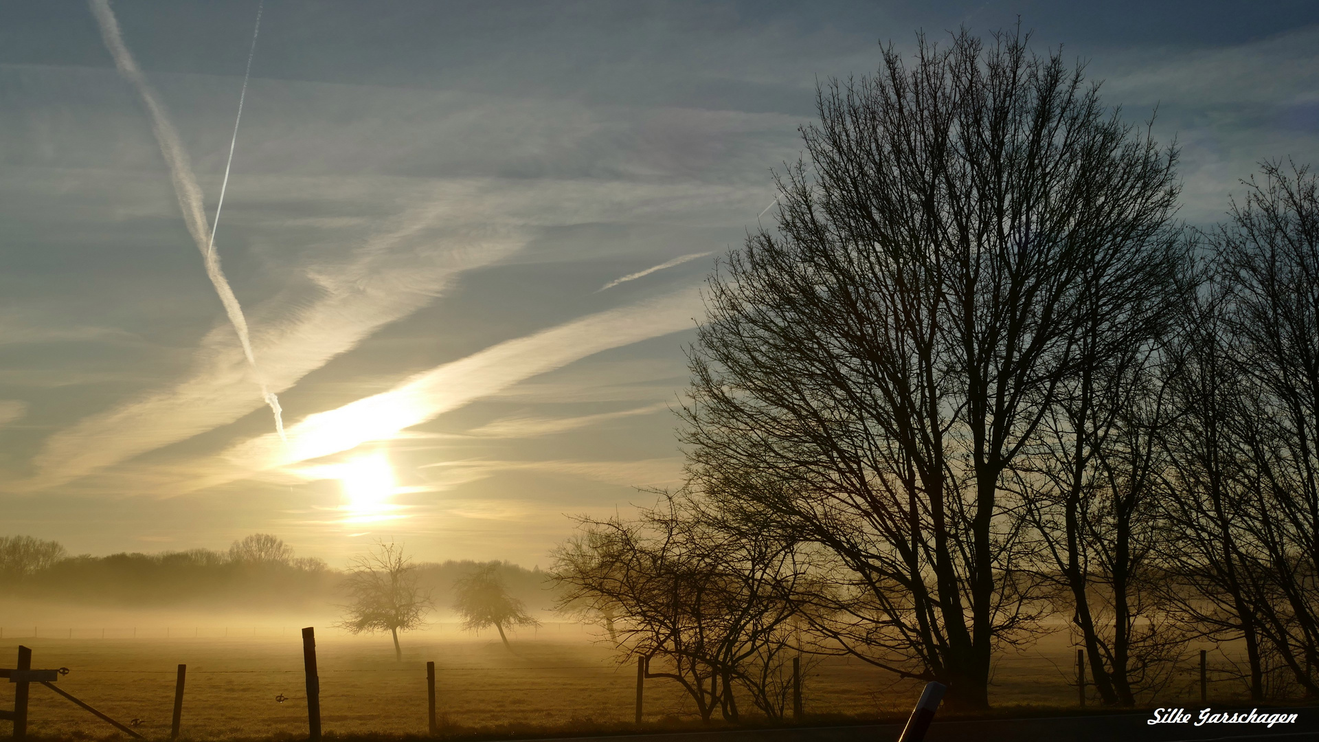 Frühnebel auf dem Land