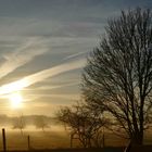 Frühnebel auf dem Land