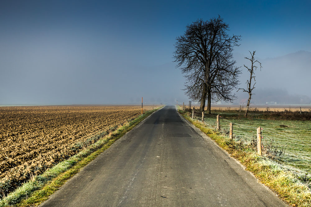 Frühnebel auf dem Weg nach Stift Rein