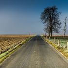 Frühnebel auf dem Weg nach Stift Rein