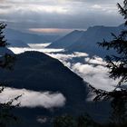 Frühnebel, auf der Katrin, Oberösterreich  