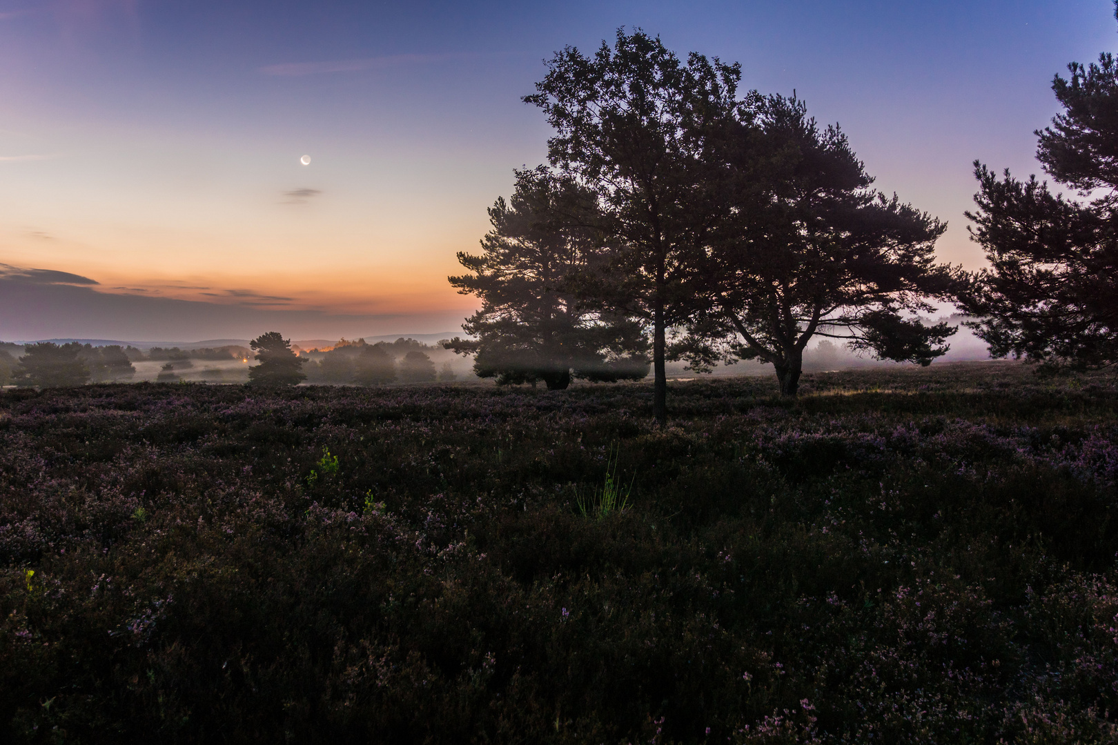 Frühnebel auf der Mehlinger Heide