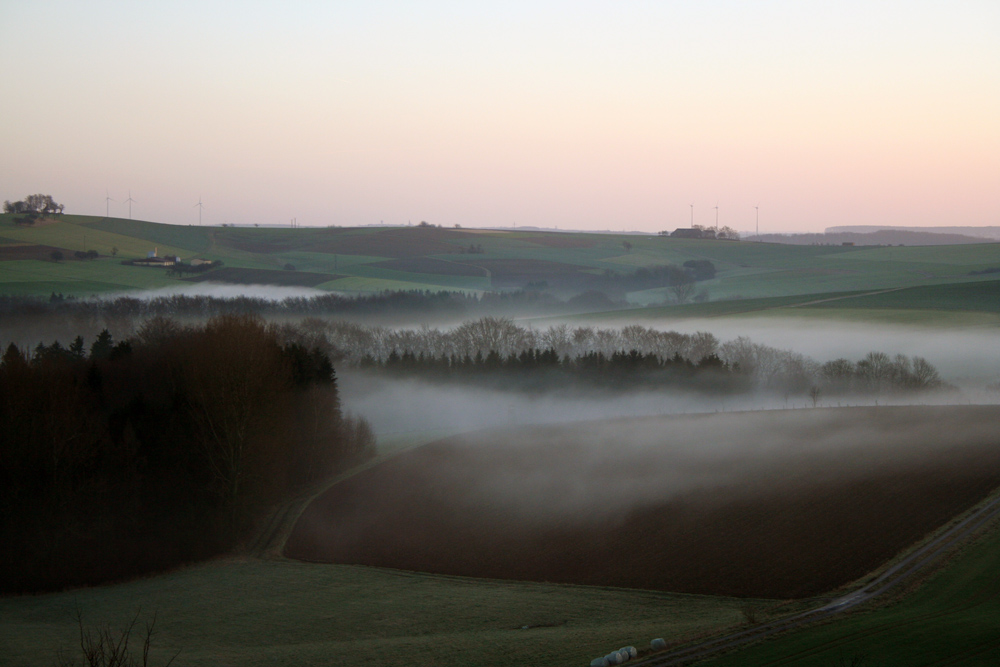 Frühnebel