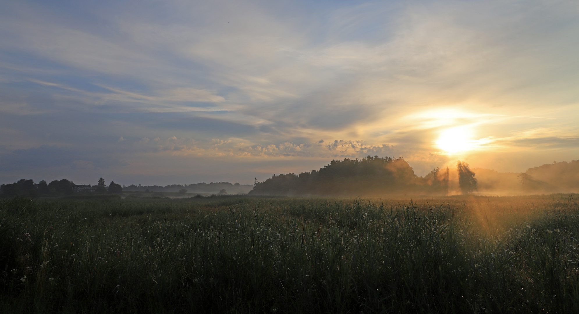 Frühnebel